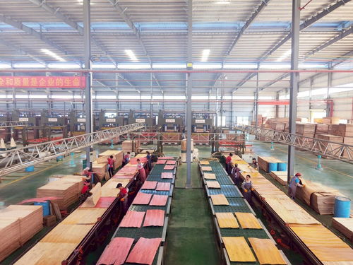 启阳新材料荣获贵港首家全国工业产品生产许可证企业
